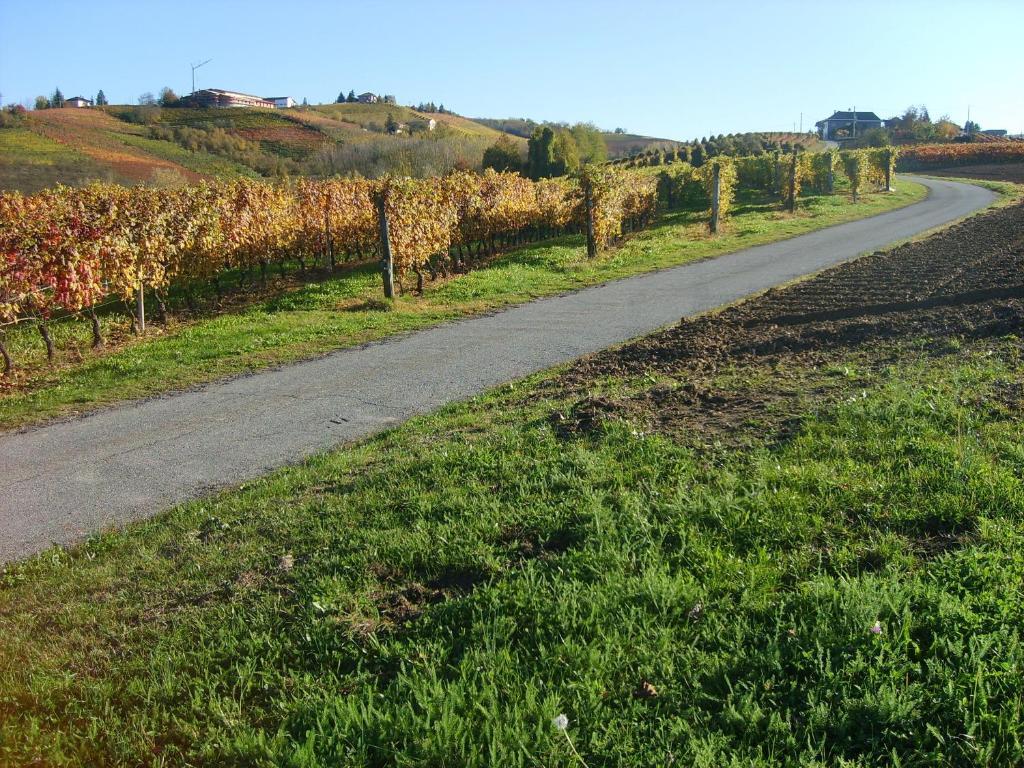 Вилла Cascina Longoria Нейве Экстерьер фото